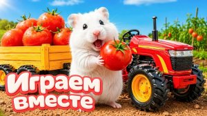 ХОМЯК ВЫБИРАЕТСЯ ИЗ СЕКРЕТНОЙ ХОМЯЧЕЙ ТЮРЬМЫ ! Забавные животные ! Супер лабиринт для хомяка №60