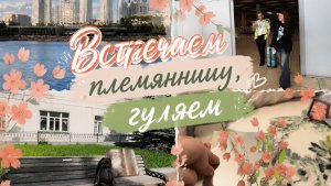 К нам приехала племянница