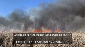 «Красота деталей: макромир насекомых и растений»