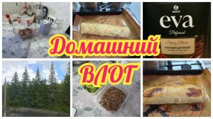 Разбудил ГРОМ...Впервые засолила ФОРЕЛЬ. Белковый рулет. Домашние ДЕЛА