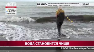 «Наш день»: 17 июля 2026