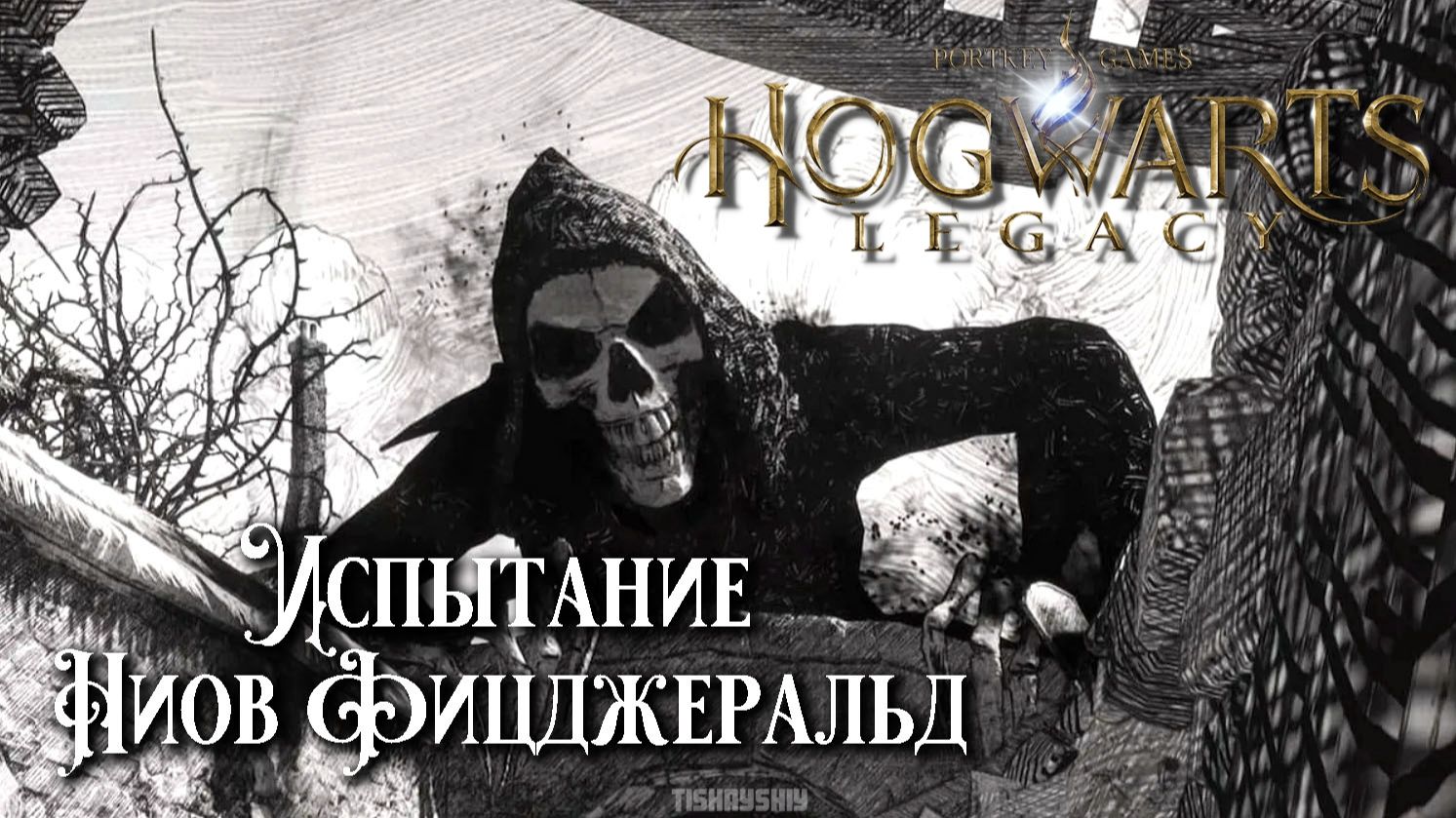 Испытание Ниов Фицджеральд. Hogwarts Legacy прохождение. Niamh Fitzgerald’s Trial