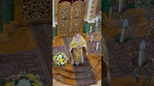 Проповедь отца Павла. Неделя 6-я по Пятидесятнице. Свв. первоверх. апп. Петра и Павла 12.07.2026