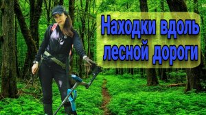 Вдоль лесной дорожки, монетки тут и там! Поиск клада 2026