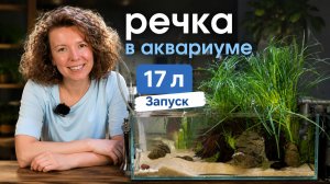 ЗАПУСК АКВАРИУМА 17л В СТИЛЕ РЕЧКИ | Фильтр Чистый Поток PRO | Маша Блюм