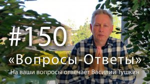 «Вопросы-Ответы», Выпуск #150 - Василий Тушкин отвечает на ваши вопросы