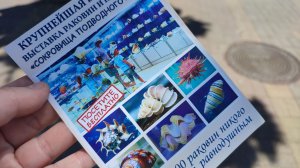 # 4 Лазаревское 2026//Бесплатно сокровища подводного мира//центр национальных культур//Бургер кинг