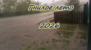 Гнилое лето 2026 года Ливни каждый день Паводок затопил всё