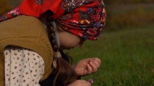Kənd Həyatı. Сбор и приготовление варенья из дикого боярышника