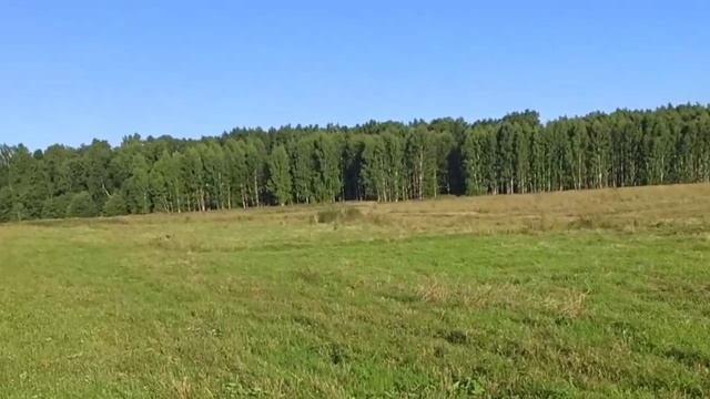 дуп_170726с смотреть онлайн