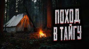 ДВЕ СТРАШНЫЕ ИСТОРИИ ИЗ НЕДР ТАЙГИ! Страшная история на ночь. Мистика