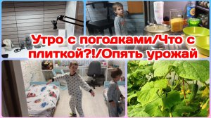 Утро с погодками,осталась одна/Что с плиткой?!/Новый урожай/Болталка  Часть 1
