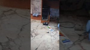 купил фуру из картона DAF