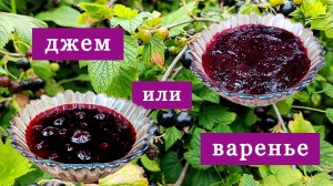 Варенье и джем из чёрной смородины на зиму. Густые, как желе