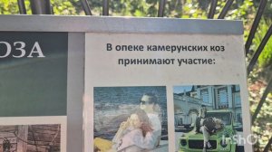 НЕТ НАСТРОЕНИЯ/МЫ ПОШЛИ В ЗООПАРК/ЧЕСТНЫЙ ВЛОГ