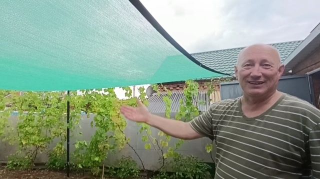 МИХАЛЫЧ, ТЫ ЖЕ УЧИТЕЛЬ!.ВИДИМО, ПЕРЕГРЕЛАСЬ. смотреть онлайн