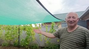МИХАЛЫЧ, ТЫ ЖЕ УЧИТЕЛЬ!.ВИДИМО, ПЕРЕГРЕЛАСЬ.