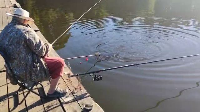 Утро на водоёме смотреть онлайн