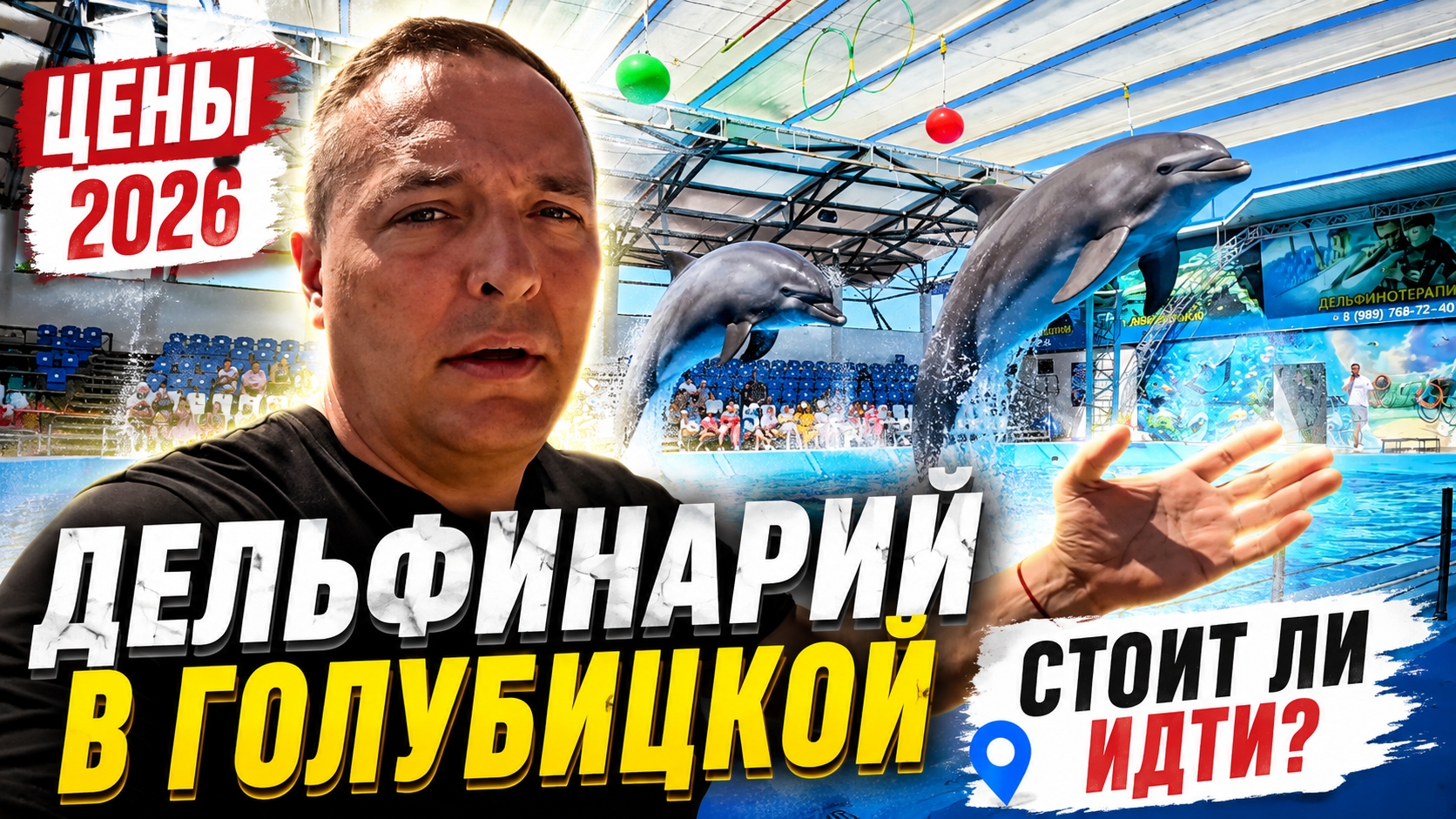 🐬 Стоит ли идти в дельфинарий в Голубицкой в 2026 году?
