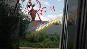 СИРЕНОВОГОЛОВЫЙ ПРИШËЛ 😱😱😱😱😱😱😱😱😱😱😱😱😱😱😱😱😱😱😱😱😱😱😱