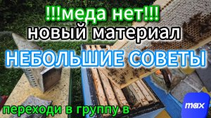 Мои будни #пчелы #топ #рек #пчеловодство