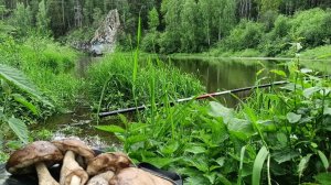 Дожди не Дают Порыбачить,но я Плюнул и Поехал!!!