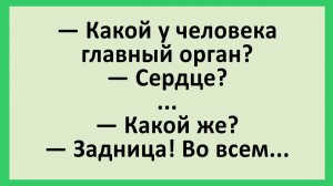 Какой у человека главный орган?... | Анекдоты смешные | Юмор