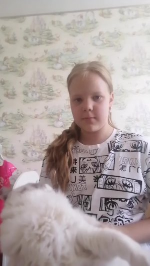 Мой котик
