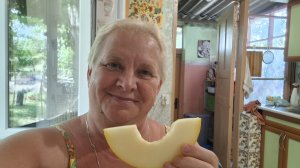 528. Привет из Крыма. Накупила вкусных фруктов. Посеяла чернобрывцы и укроп. 17.07.26.