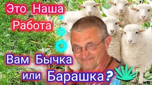 Как Зарабатывает Мой Муж? Лучшая Баранина в городе! Работа Мечты!