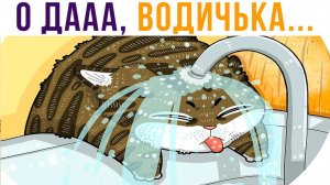 КОТЫ КАЙФУЮТ)) Приколы с котами