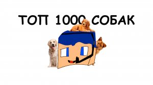 ТОП 1000 СОБАК