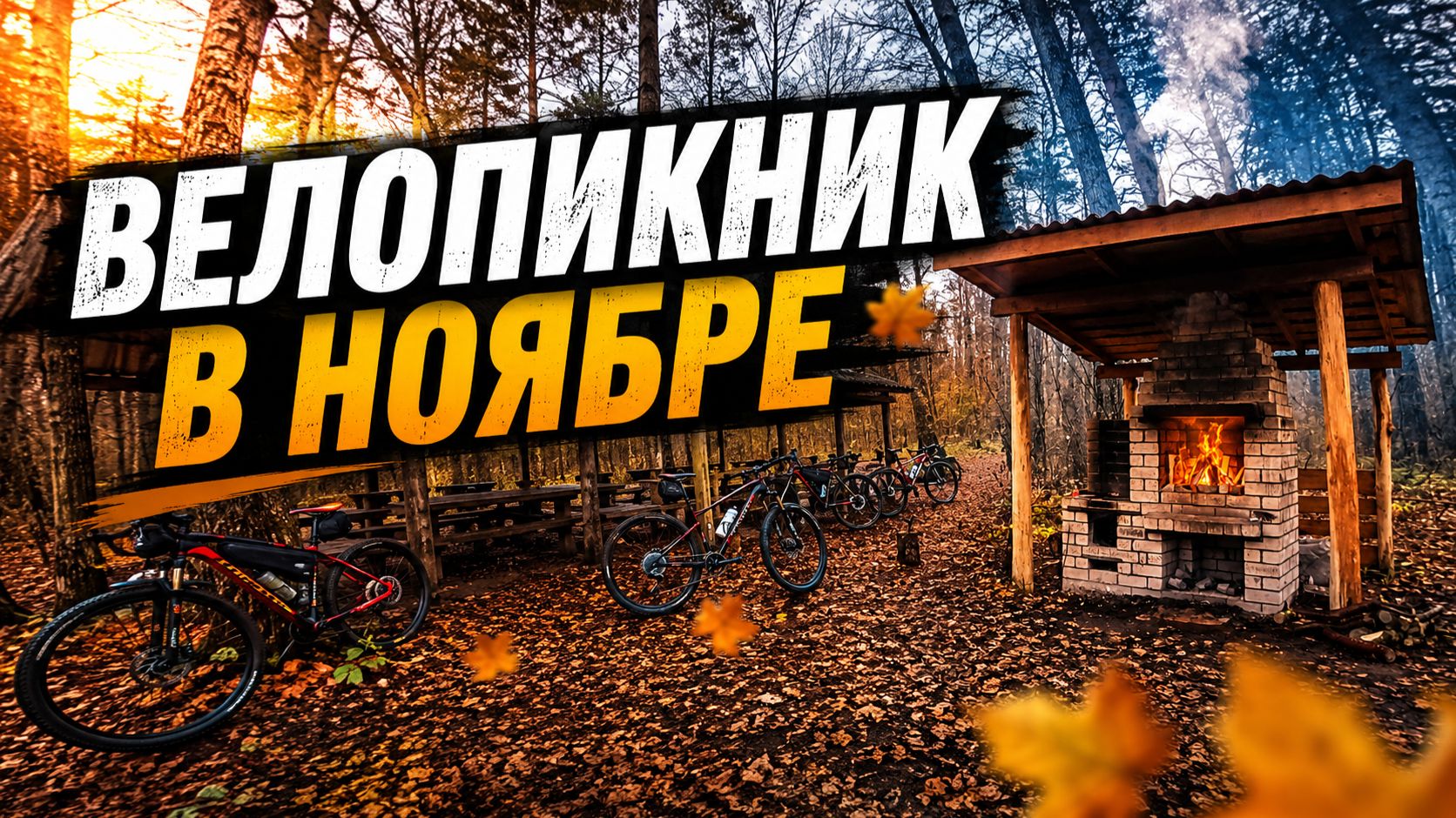 Велопикник в ноябре (Велодрайв Брянск)