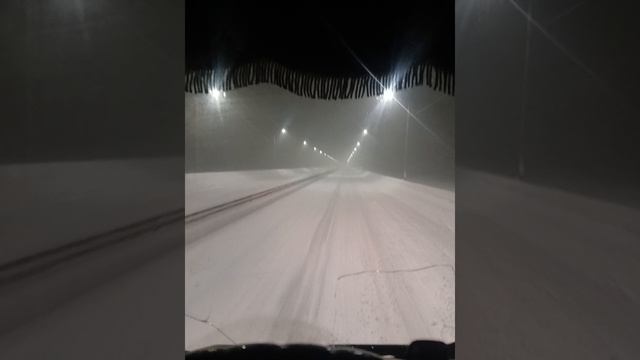 1000063339.mp4 смотреть онлайн