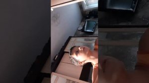 о технеке