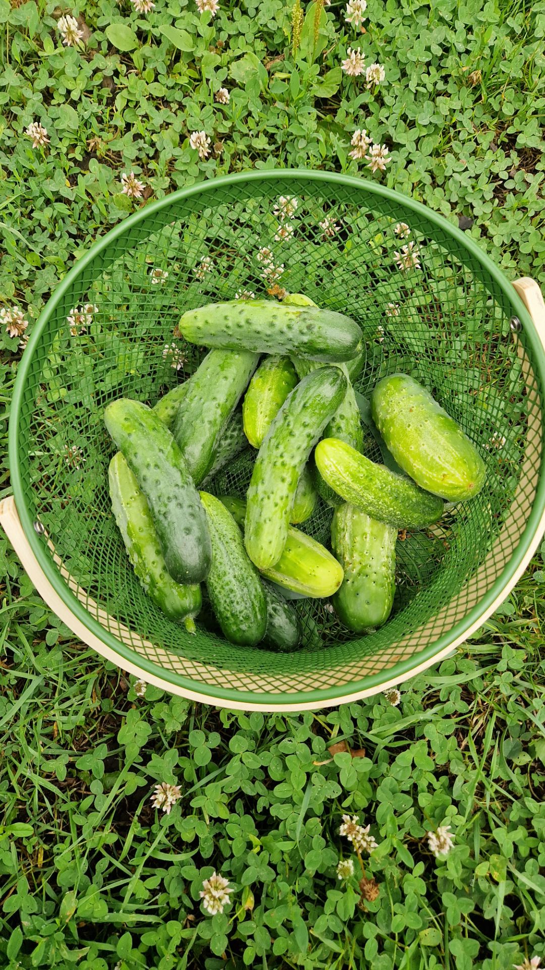 Рецепт битых огурцов 😅🥒