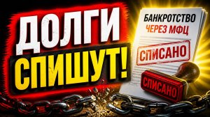 Внесудебное банкротство через МФЦ - как списать долги бесплатно за 6 месяцев без суда