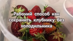 Как сохранить клубнику? Моя проверка!
