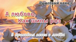 А ЛЮБОВЬ, КАК ШИПЫ РОЗ