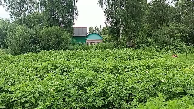 Что случилось с погодой 🍅🍓🌹Полет нормальный смотреть онлайн