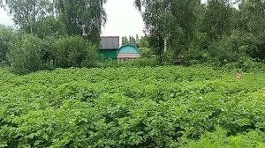 Что случилось с погодой 🍅🍓🌹Полет нормальный