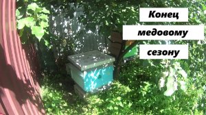 Конец сезона, а главный медосбор так и не случился.