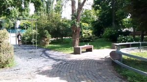Ростовский зоопарк прогулка в 2026 году