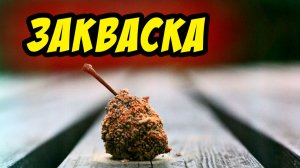 Закваска - Василий Савич. Христианские проповеди