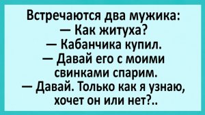 Встречаются два мужика: Как житуха?... | Анекдоты смешные | Юмор