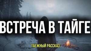 Встреча в тайге| таежная история