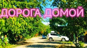 ДОРОГА ДОМОЙ.