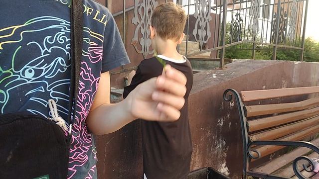 VID_20260717_165153.mp4 смотреть онлайн