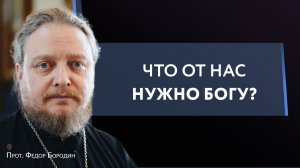 Царь Давид понял то, чего не понимают многие христиане #Бородин #православие #христианство