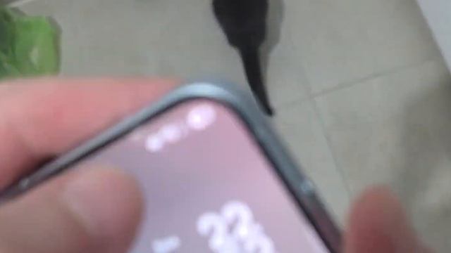 НЕДЕЛЯ с Samsung Galaxy A57 — я познал КОРЕЙЦА и это ПРОБЛЕМА! | ЧЕСТНЫЙ ОТЗЫВ смотреть онлайн